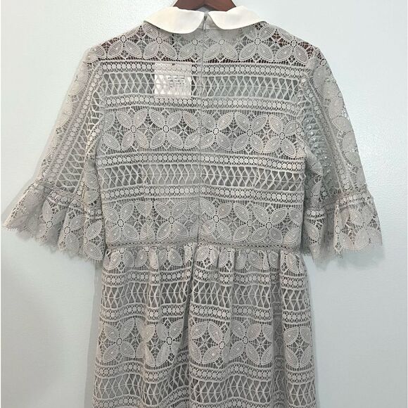NWT ASOS True Decadence Gray Lace Peter Pan Collar Midi Dress Formal 10 TALL - Picture 8 of 12